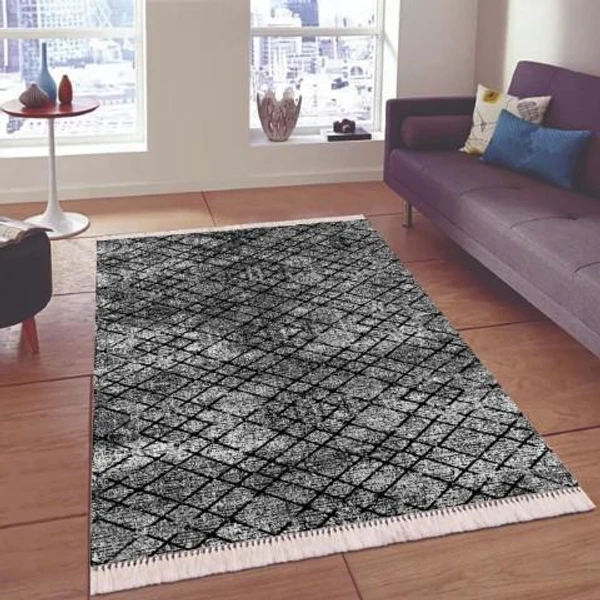 salon rugs