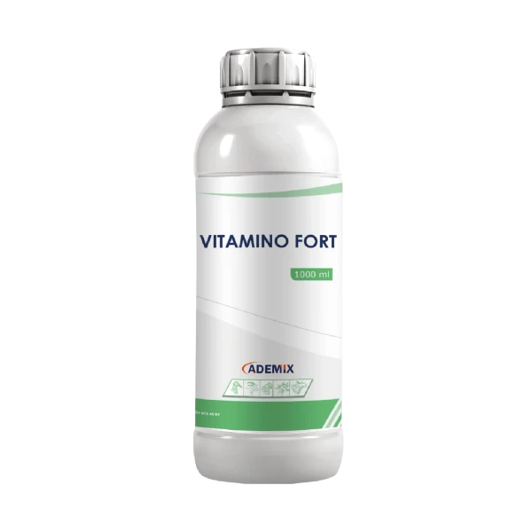 vitamino fort