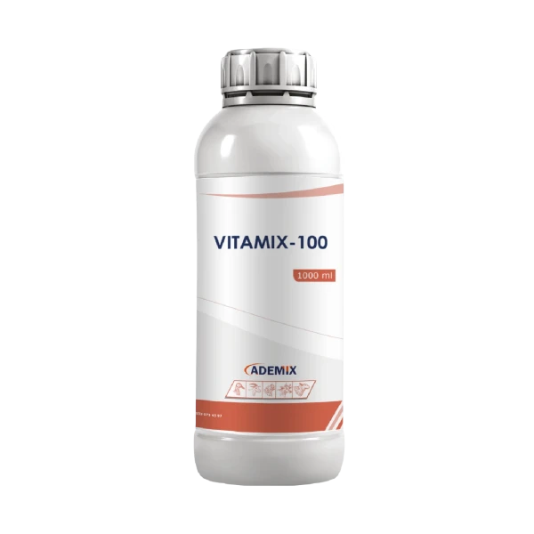vitamix-100