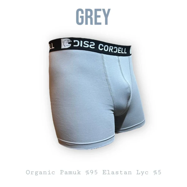 men's underwear